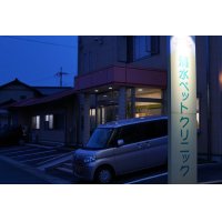 夜間